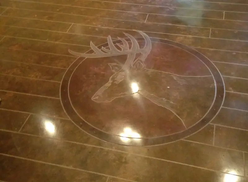 Polished concrete with a deer medallion and plank-style saw cuts